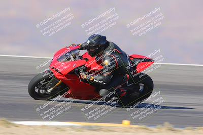 media/Dec-09-2023-SoCal Trackdays (Sat) [[76a8ac2686]]/Turn 12 Speed (140pm)/